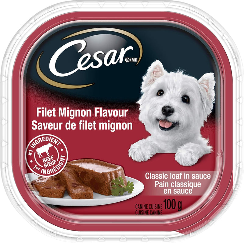 Cesar Filet Mignon Dog Food 100g - Case of 24