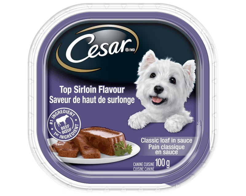 Cesar Top Sirloin Dog Food 100g - Case of 24