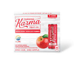 Farming Karma Apple Soda 310ml (6 Pack)